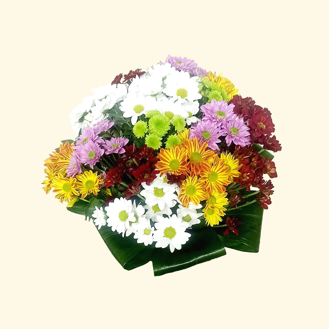 Consegna a domicilio Bouquet di margherite colorate