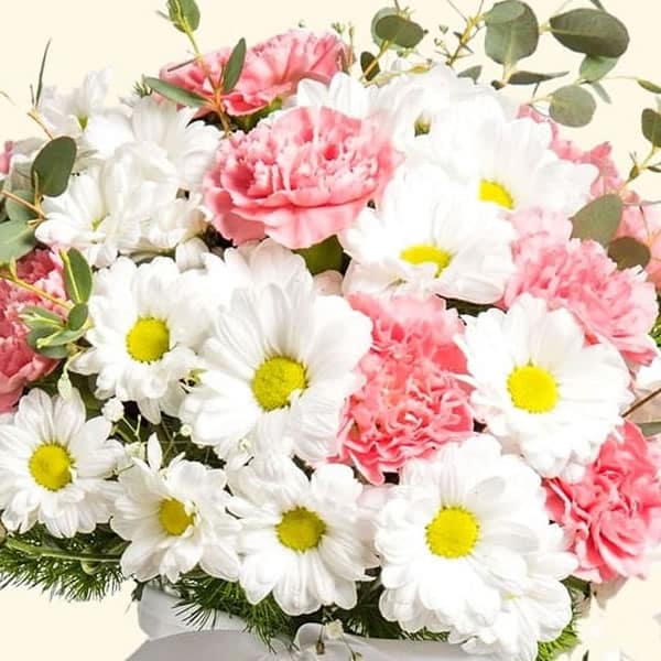 Bouquet-di-Margherite-bianche-e-Garofani-rosa.jpg
