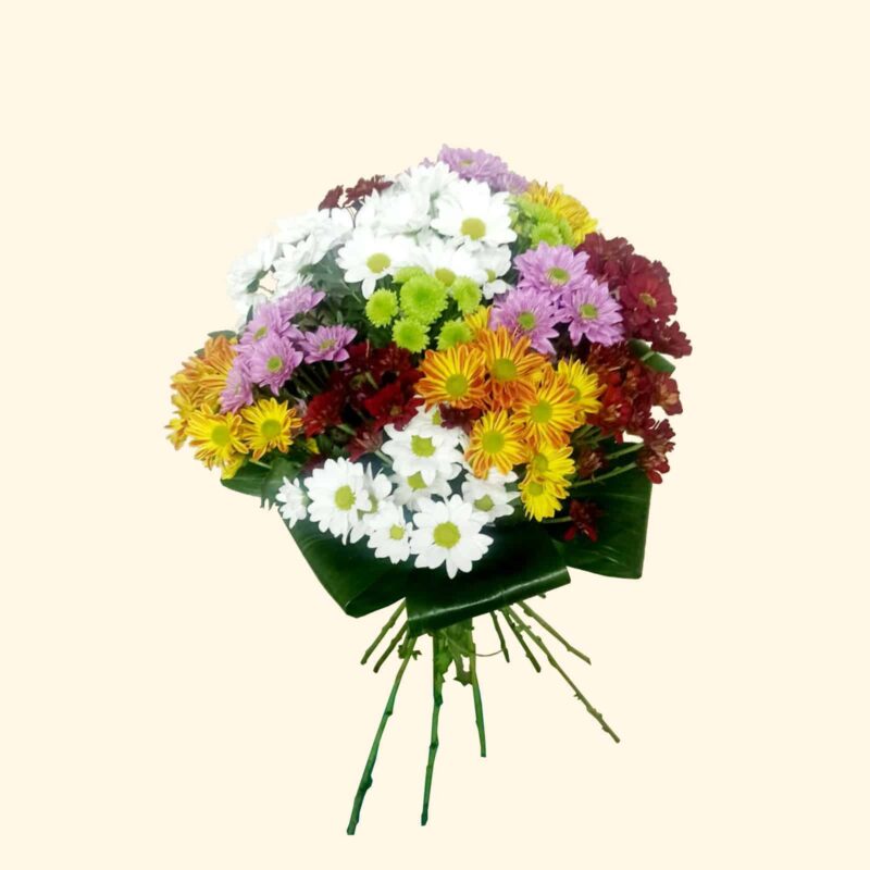 Bouquet di margherite colorate