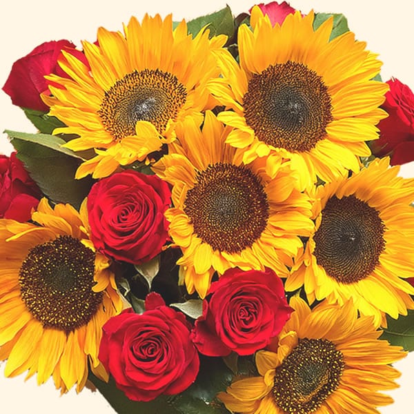 Bouquet di rose rosse e girasoli consegniamo a domicilio a Roma anche su appuntamento