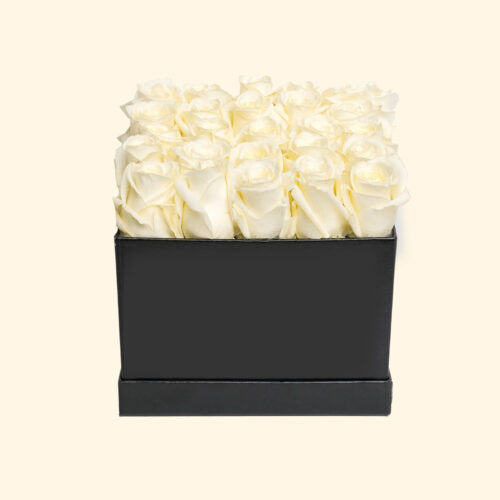 Flower Box in cappelliera quadrata con Rose stabilizzate di colore bianco