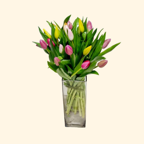 Bouquet di 30 tulipani misti