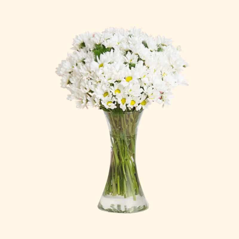 bouquet margherite bianche