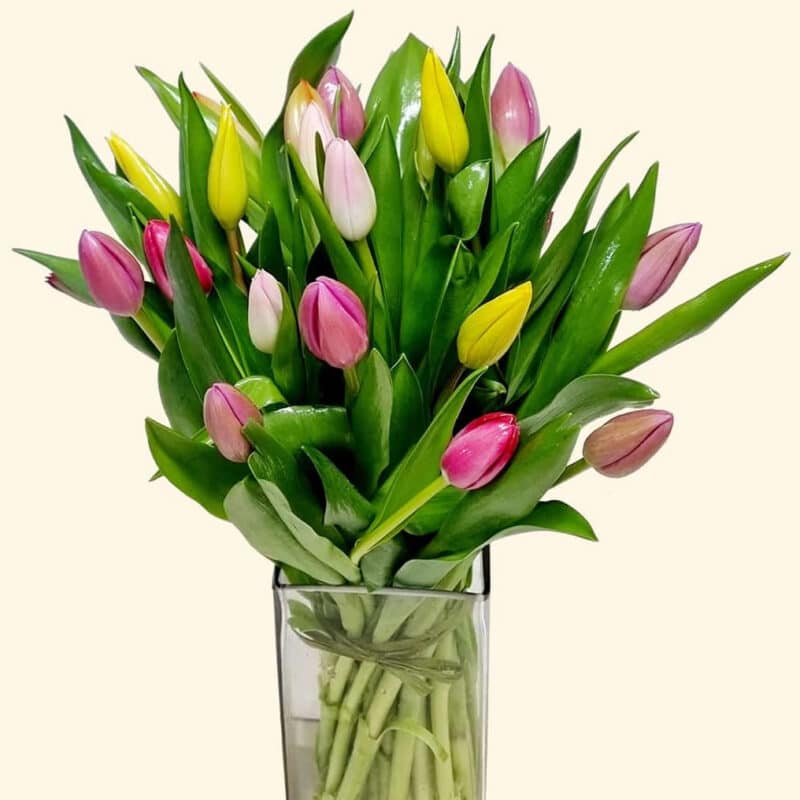 Bouquet di 30 tulipani multicolore consegna a domicilio a Roma