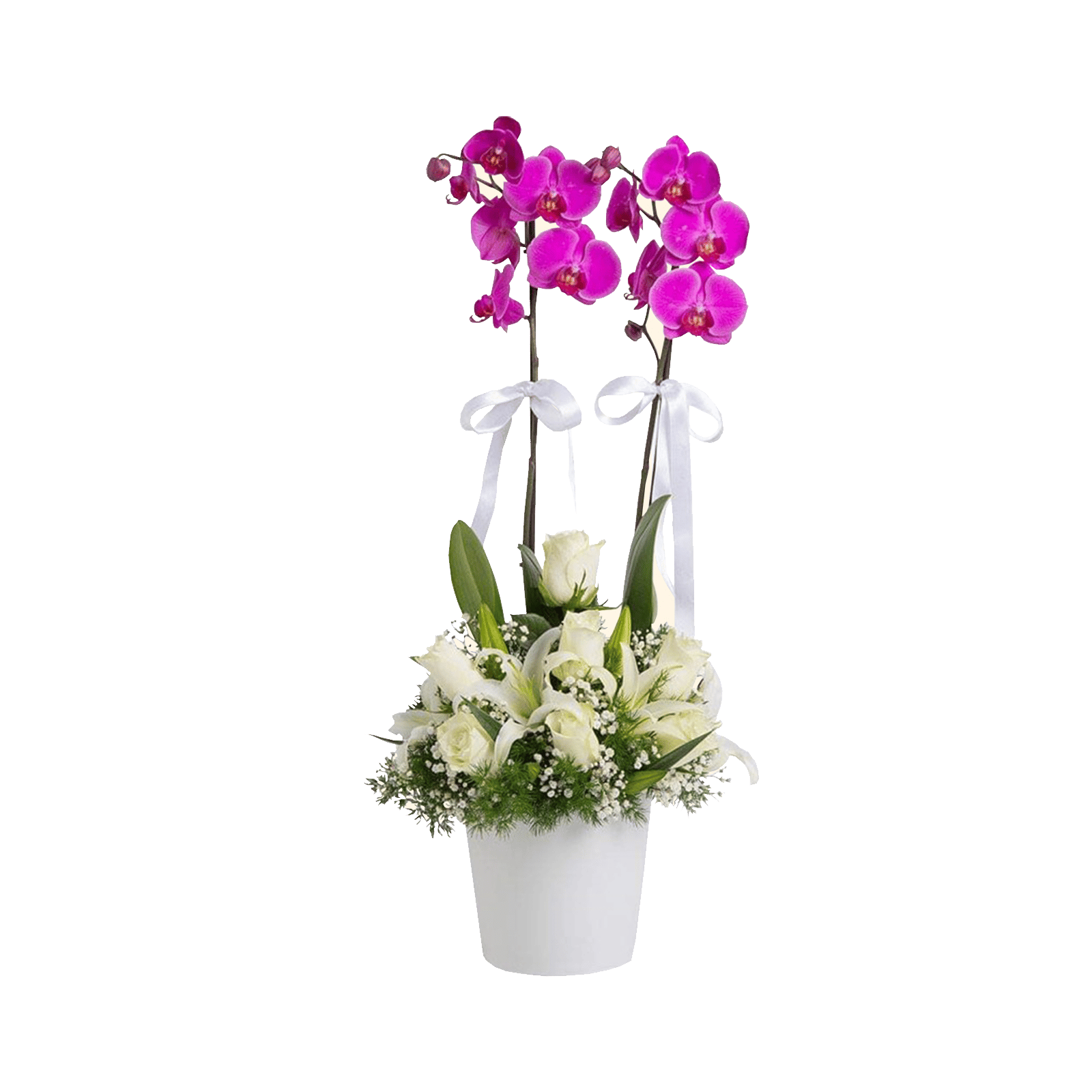 Flower Delivery a Roma Pianta di orchidea fucsia con fiori misti