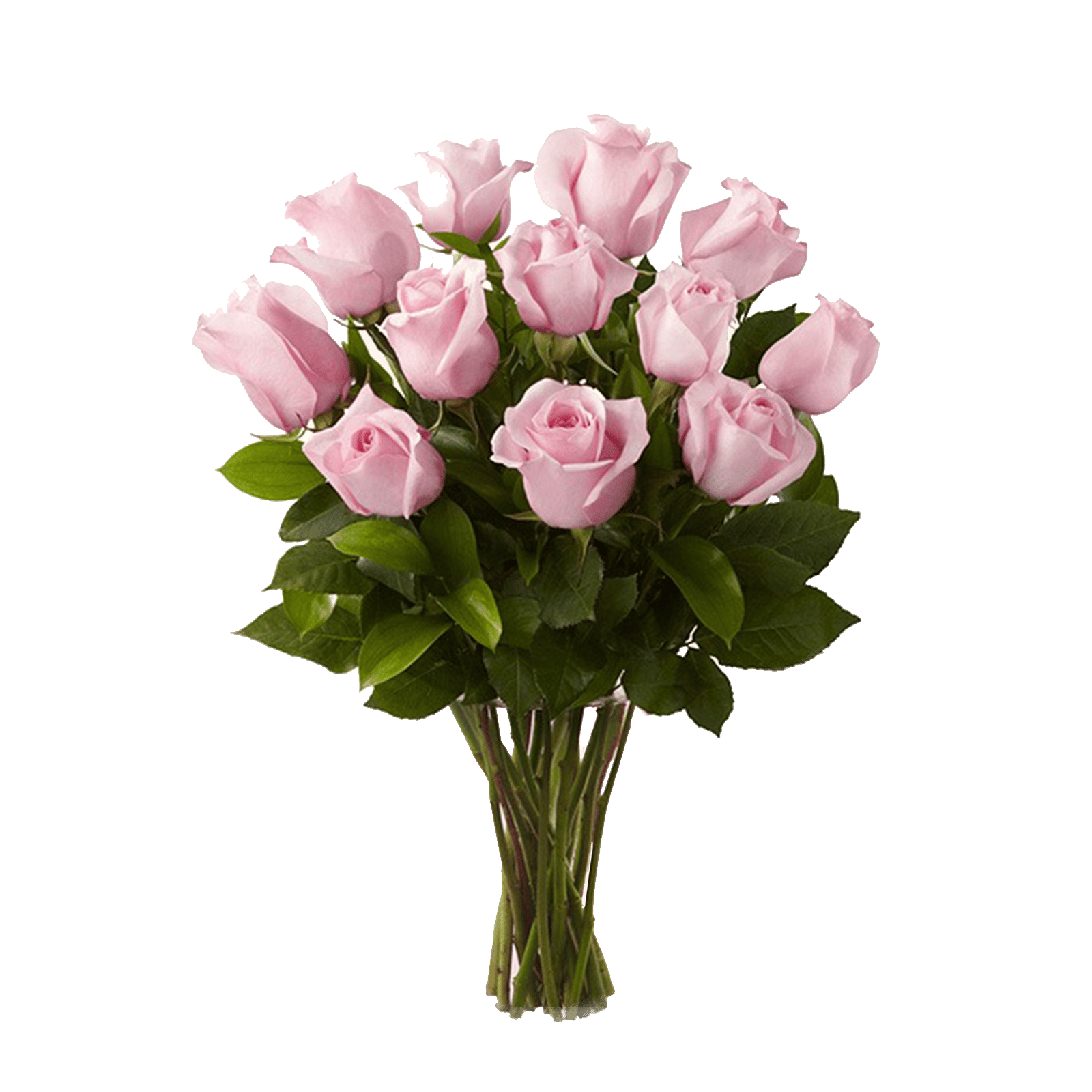 CBouquet composto da 20 Rose rosa- Roma Flower Delivery