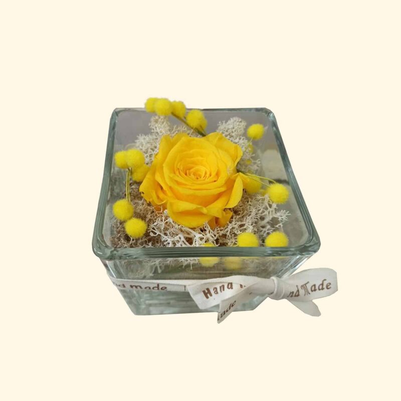 Rosa stabilizzata gialla