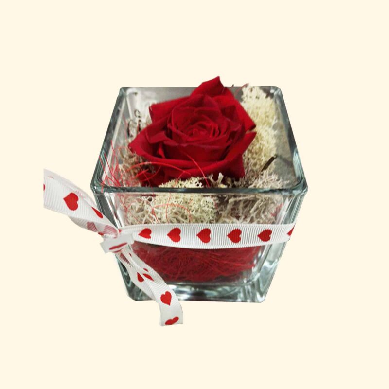 Rosa rossa stabilizzata