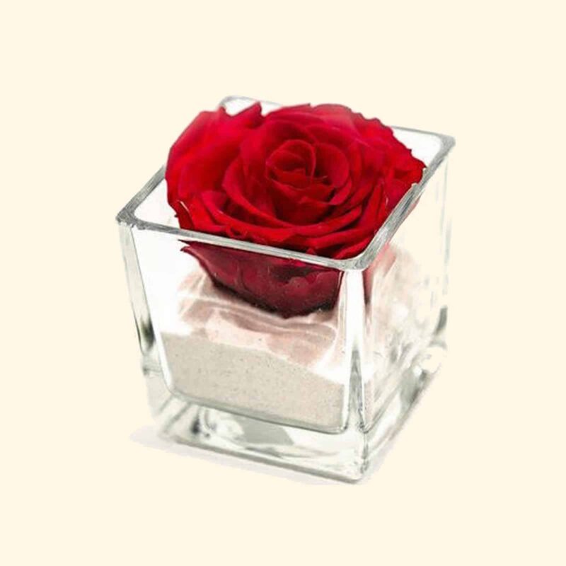 Rosa stabilizzata rossa