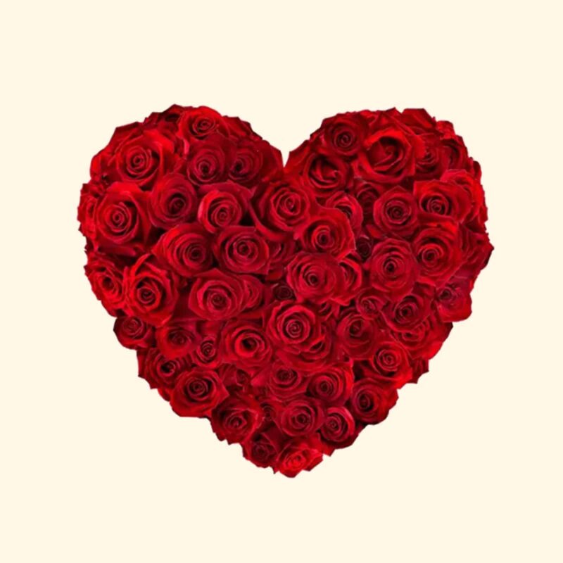 CUORE 50 Rose rosse San Valentino