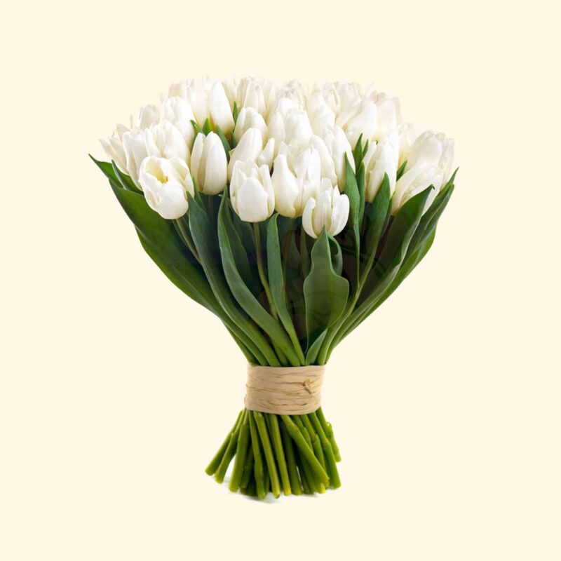 Bouquet tulipani bianchi