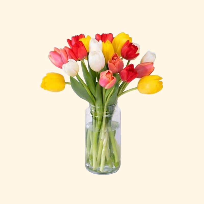 Bouquet di 20 tulipani misti
