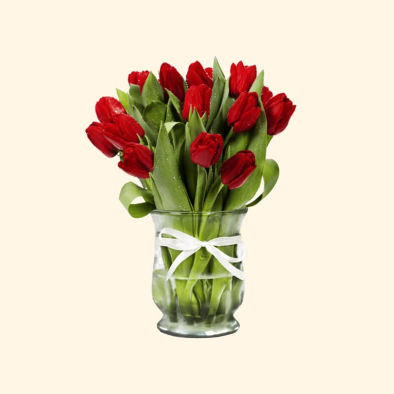 Bouquet di 20 tulipani rossi