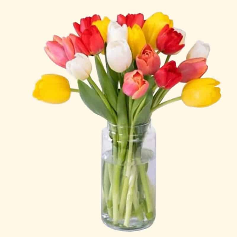 Bouquet di 20 tulipani multicolore consegna a domicilio a Roma
