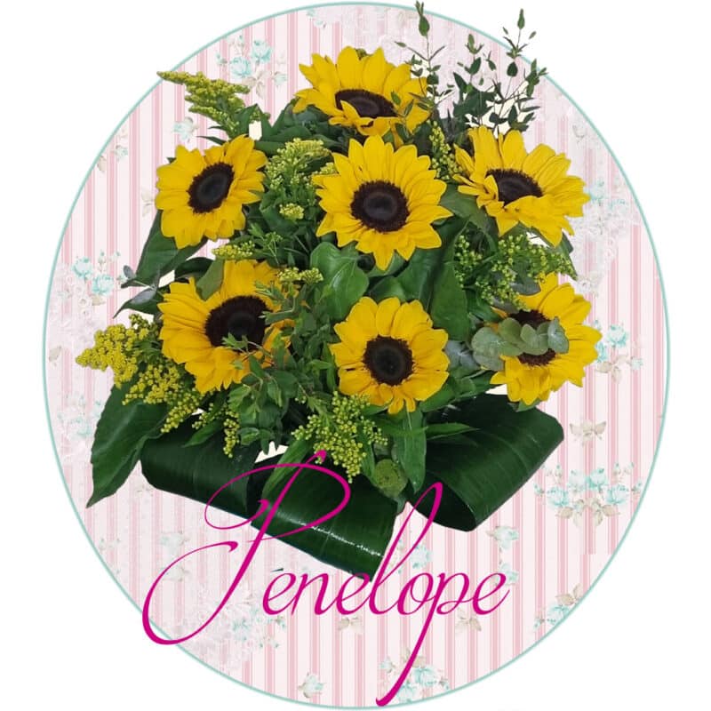 Bouquet giallo di girasoli dedicato a Penelope Featherington