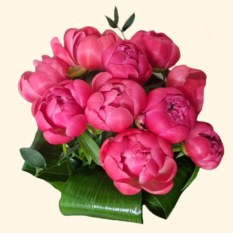 Consegniamo a domicilio fiori e piante