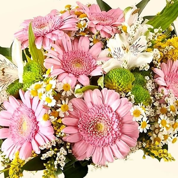 Consegna a domicilio a Roma Bouquet di Gerbere, Santino verde, Alstroemeria e Solidago