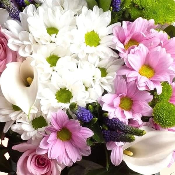 Flower delivery in Rome - Bouquet di San Carlino colorato, Santino verde, rosa e Calle bianche