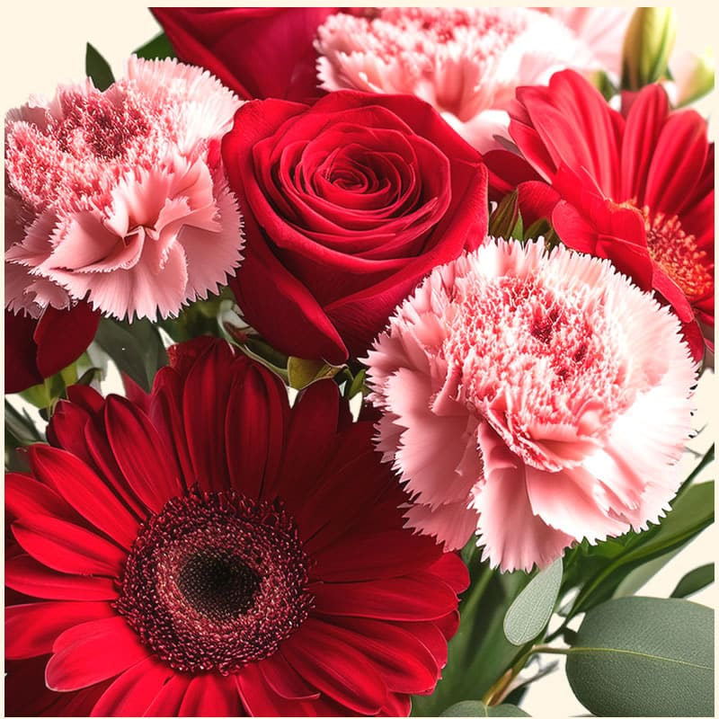 Bouquet gerbere rose e garofani rosa consegniamo a Roma su appuntamento in giornata