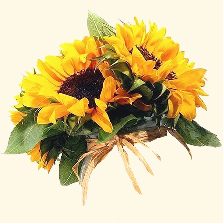 Bouquet di girasoli consegniamo a domicilio a Roma
