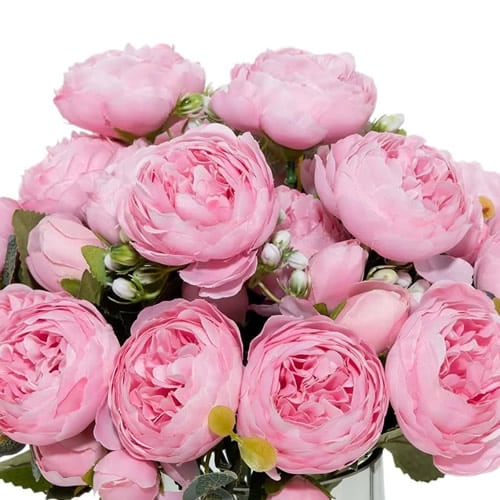 12 maggio Festa della Mamma, consegniamo fiori e piante a domicilio e su appuntamento