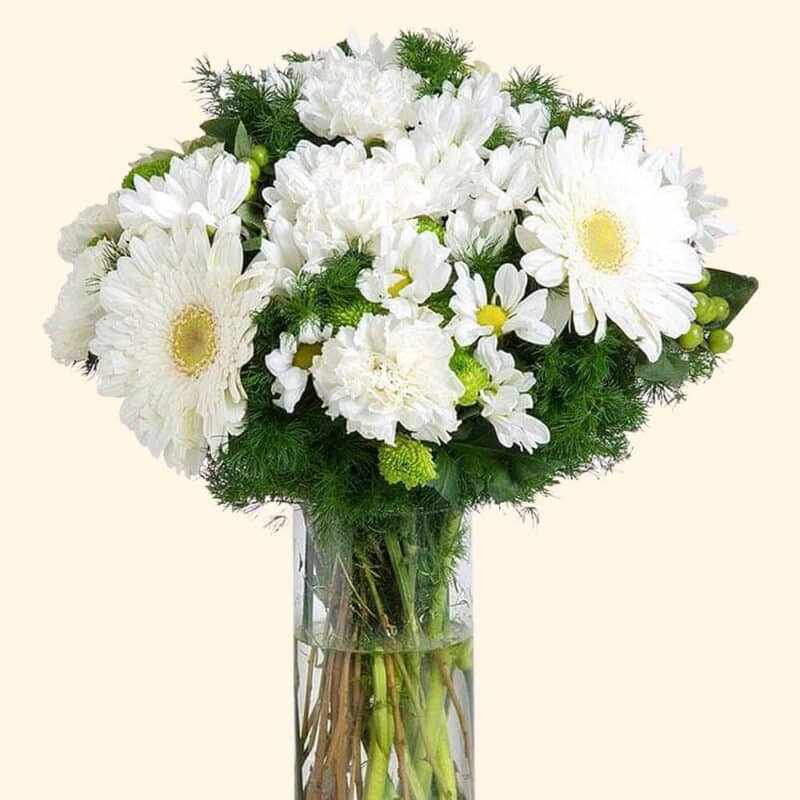 Flower delivery in Rome-Bouquet bianco di Gerbere, Garofani e margherite