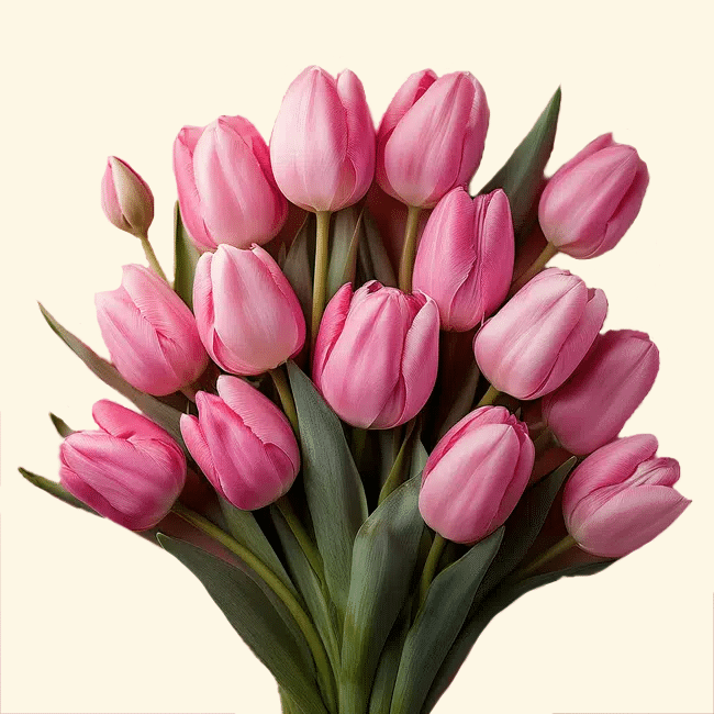 Consegna a domicilio Bouquet di Tulipani Fucsia a Roma