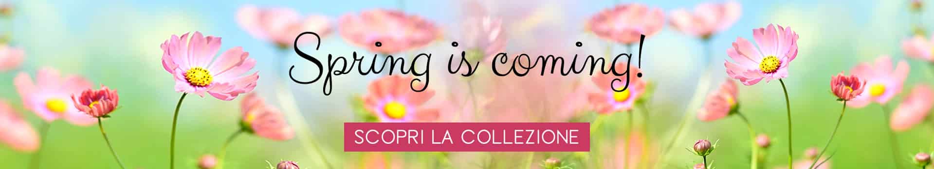 Romainfiore - Consegna veloce in giornata a domicilio di Piante e Fiori a Roma
