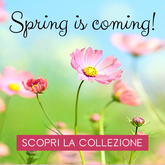 Romainfiore - Consegna veloce in giornata a domicilio di Piante e Fiori a Roma
