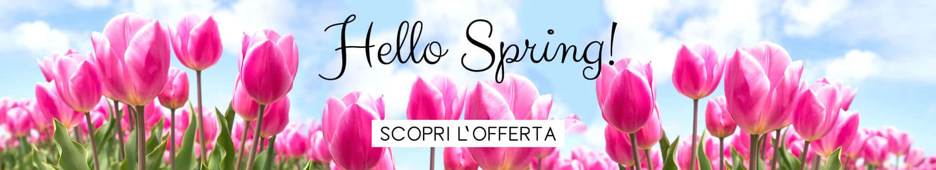 Romainfiore - Consegna veloce in giornata a domicilio di Piante e Fiori a Roma