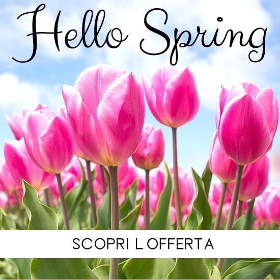 Romainfiore - Consegna veloce in giornata a domicilio di Piante e Fiori a Roma