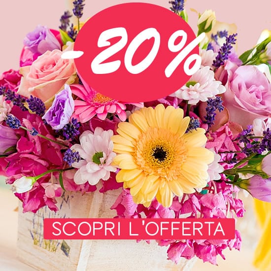 Romainfiore - Consegna veloce in giornata a domicilio di Piante e Fiori a Roma
