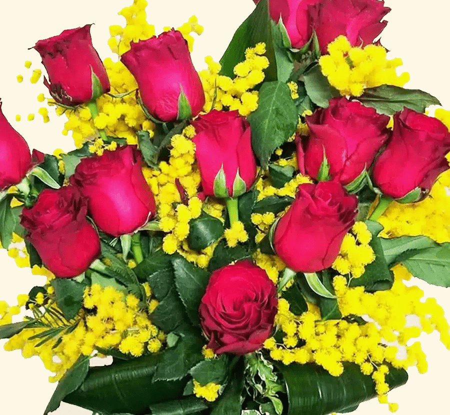 Festa della donna 12 ROSE ROSSE CON MIMOSA Consegna a domicilio a Roma 8 Marzo