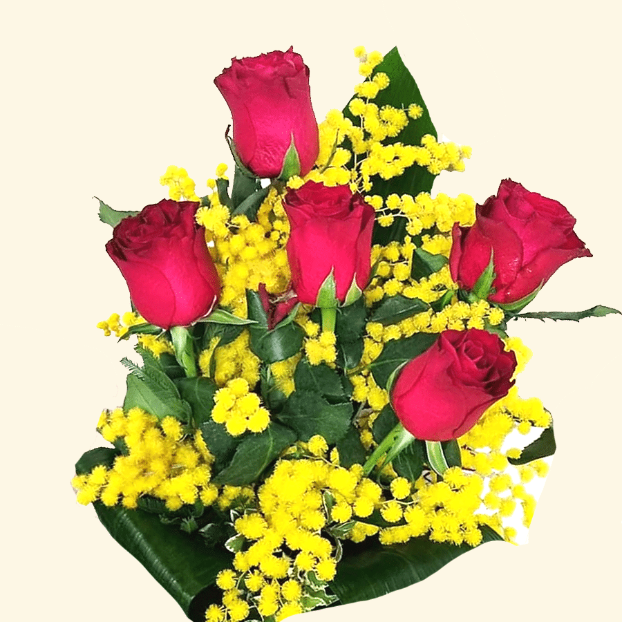 Festa della donna 5 ROSE ROSSE CON MIMOSA Consegna a domicilio a Roma 8 Marzo