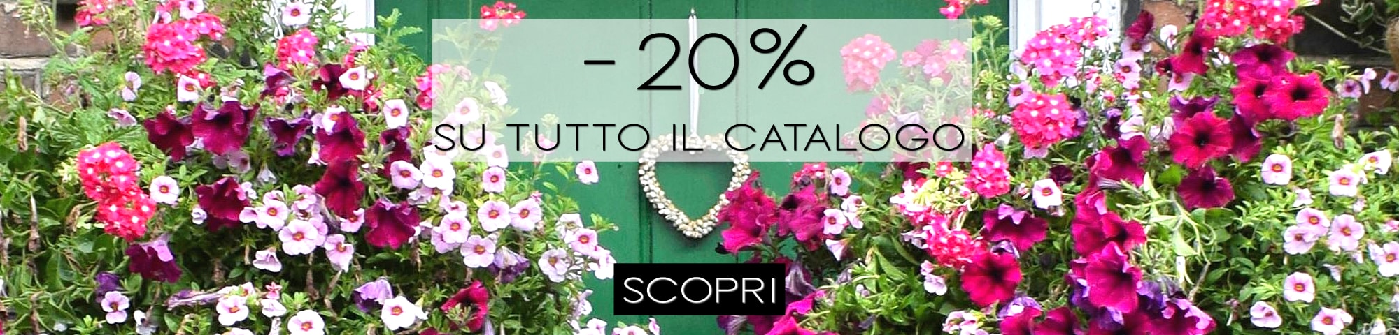 Romainfiore - Consegna veloce in giornata a domicilio di Piante e Fiori a Roma