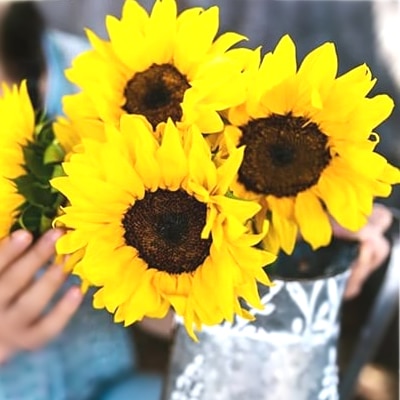 Mazzo di Girasoli consegniamo a domicilio a Roma