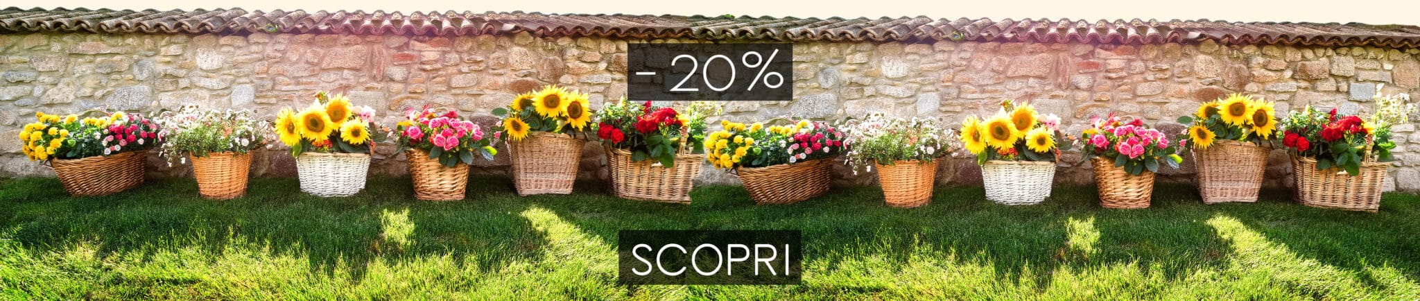 Romainfiore - Consegna veloce in giornata a domicilio di Piante e Fiori a Roma