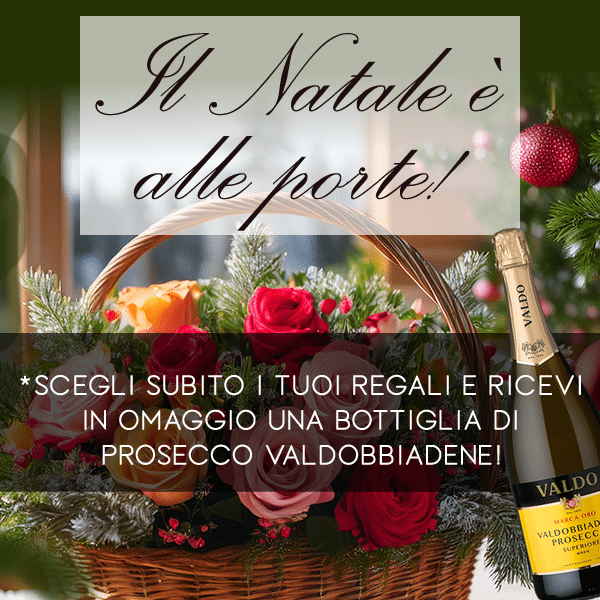 Romainfiore - Consegna veloce in giornata a domicilio di Piante e Fiori a Roma