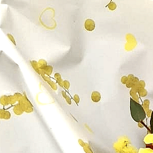 8 marzo Festa della donna - Consegniamo a domicilio la Mimosa a Roma