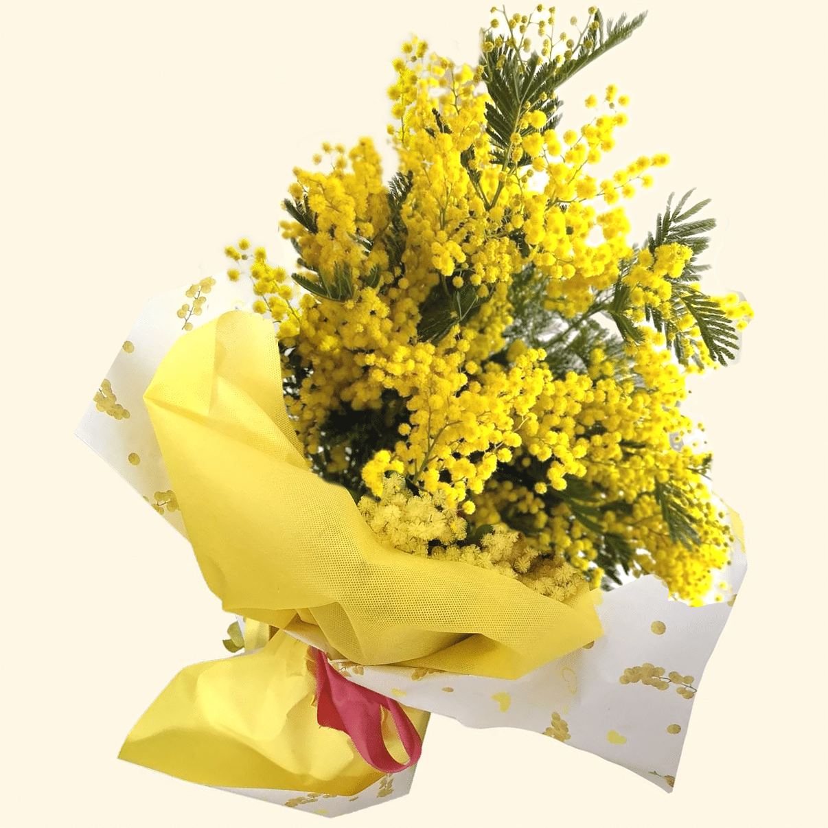 8 marzo Festa della donna - Consegniamo a domicilio la Mimosa a Roma