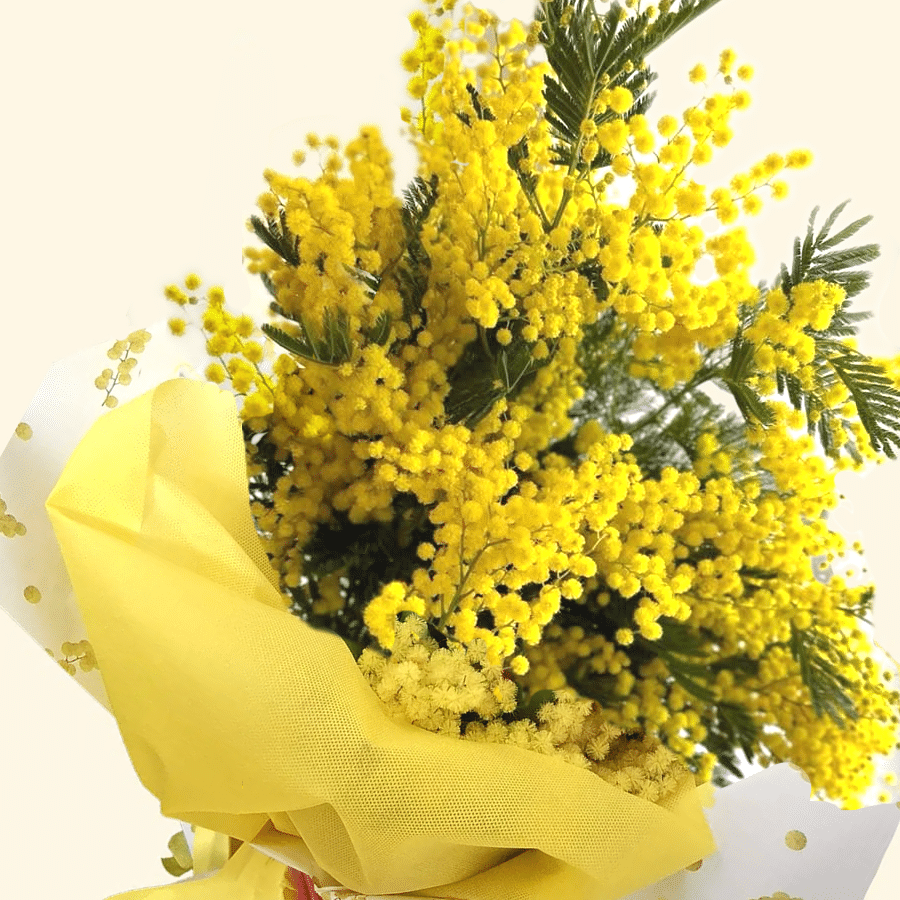 8 marzo Festa della donna - Consegniamo a domicilio la Mimosa. Delivery in Rome