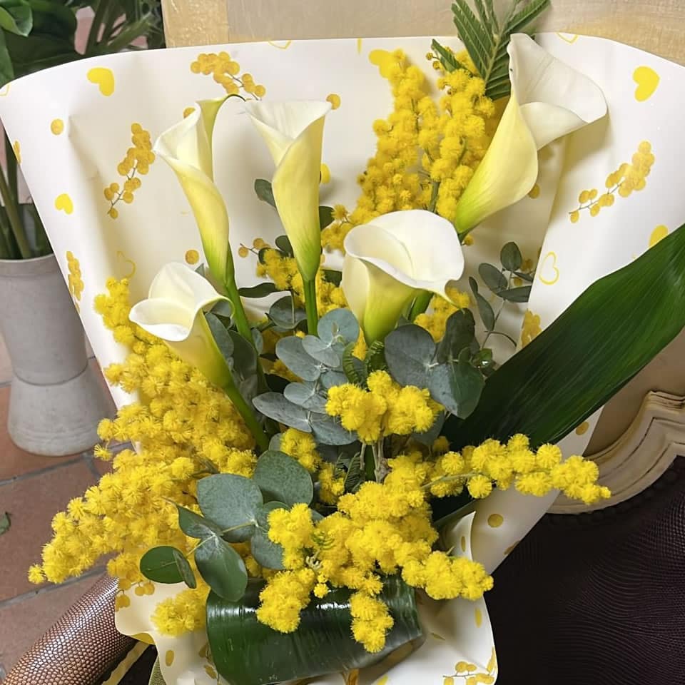 8 marzo Festa della donna - Consegniamo a domicilio la Mimosa. Delivery in Rome