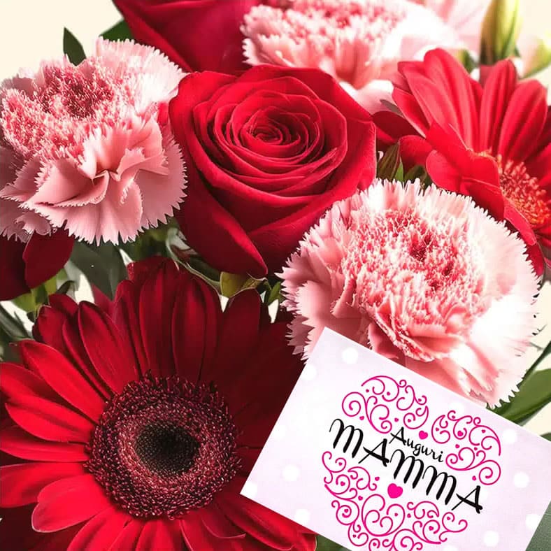 Per la Festa della mamma il 10 maggio Bouquet gerbere rose e garofani rosa consegniamo a Roma su appuntamento in giornata