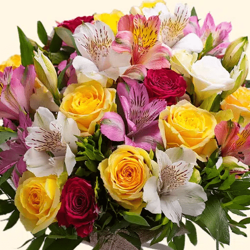 Bouquet di Rose colorate e Alstroemeria Flower delivery in Rome