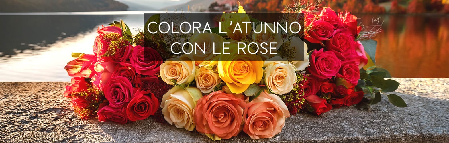 Romainfiore - Consegna veloce in giornata a domicilio di Piante e Fiori a Roma