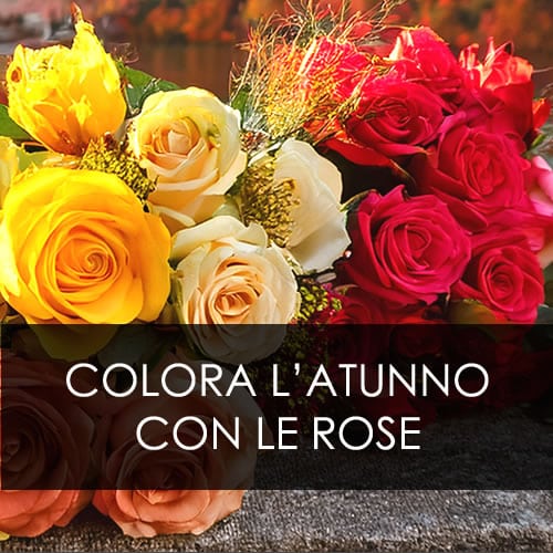 Romainfiore - Consegna veloce in giornata a domicilio di Piante e Fiori a Roma